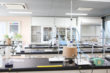 sciences